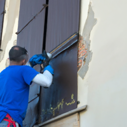 Crépis : optez pour une façade rustique et chaleureuse Le François